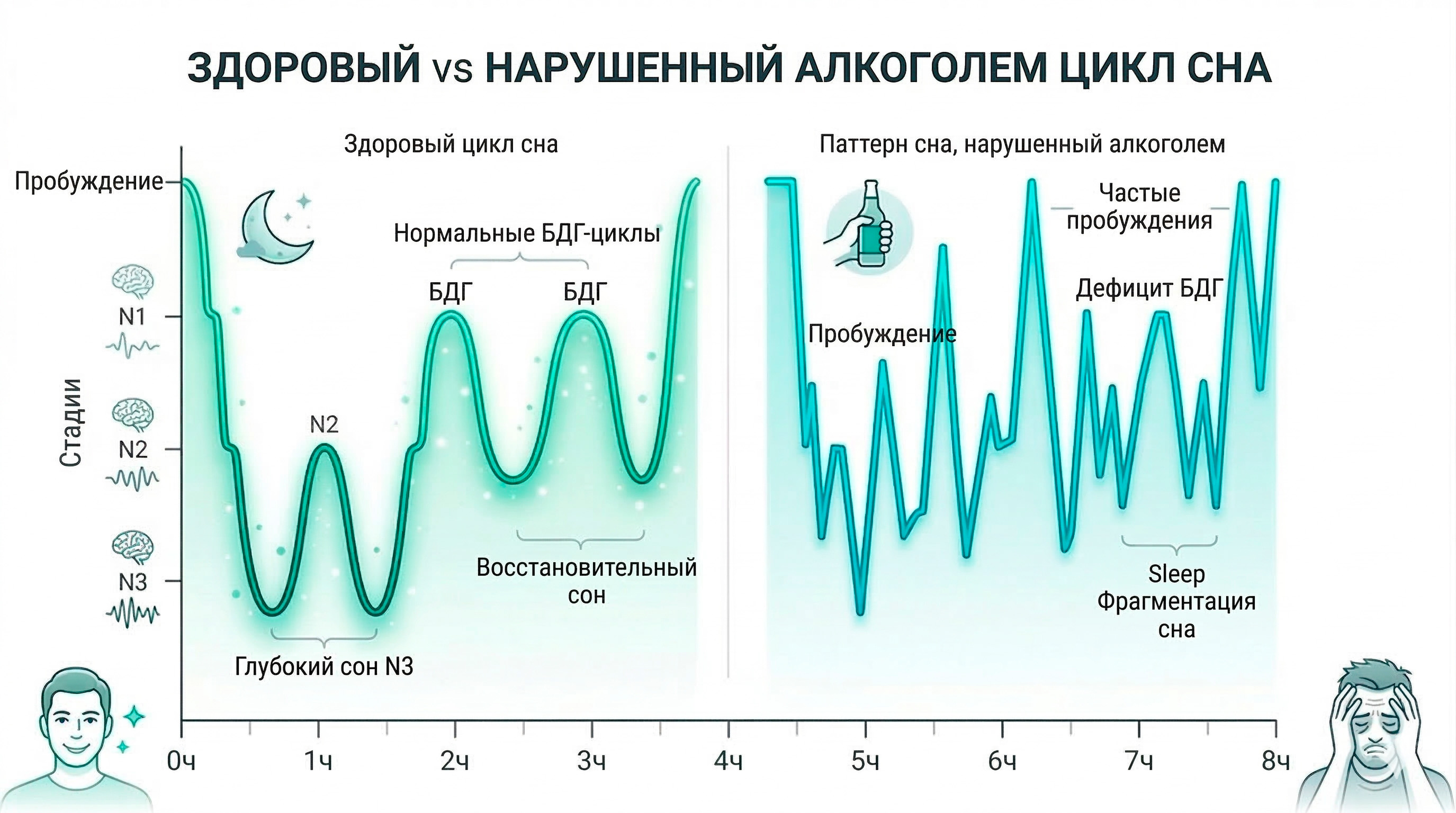 График нарушения фаз сна при употреблении алкоголя