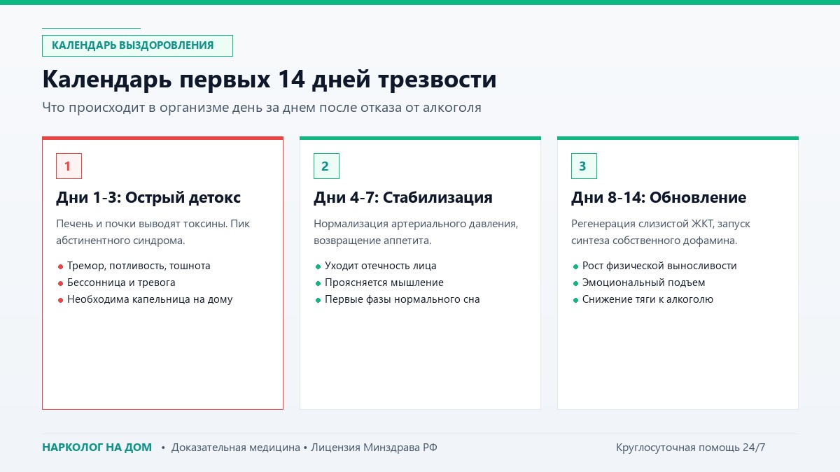 Первые 14 дней трезвости
