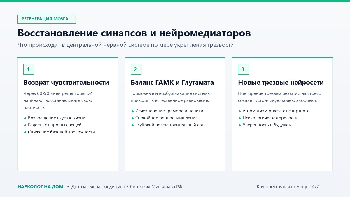 Восстановление синапсов и нейромедиаторов